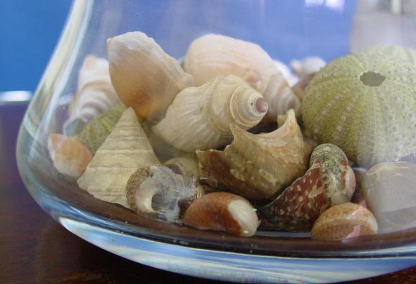 酒店 Lourens River Guesthouse B&b