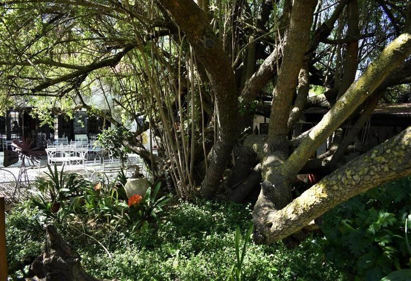 فندق The Red Tin Roof