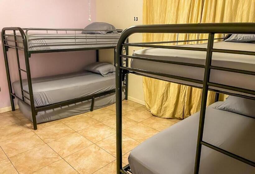 هاستل Beds & Sheets Downtown