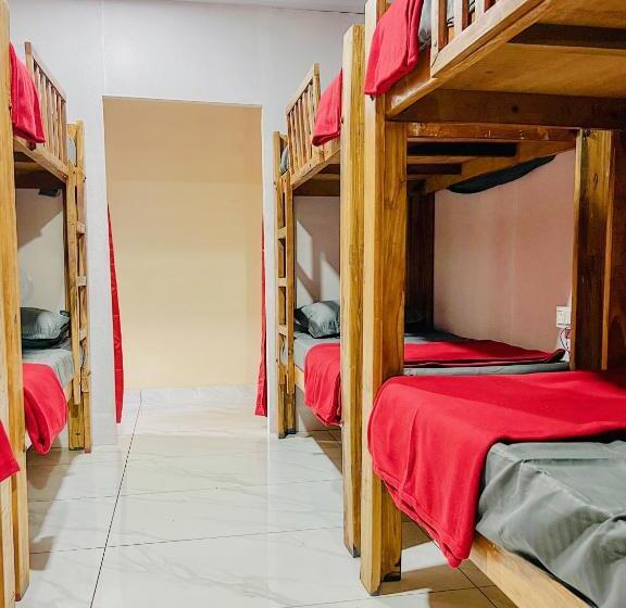 旅馆 The Last Try   Secret Ashram Coorg