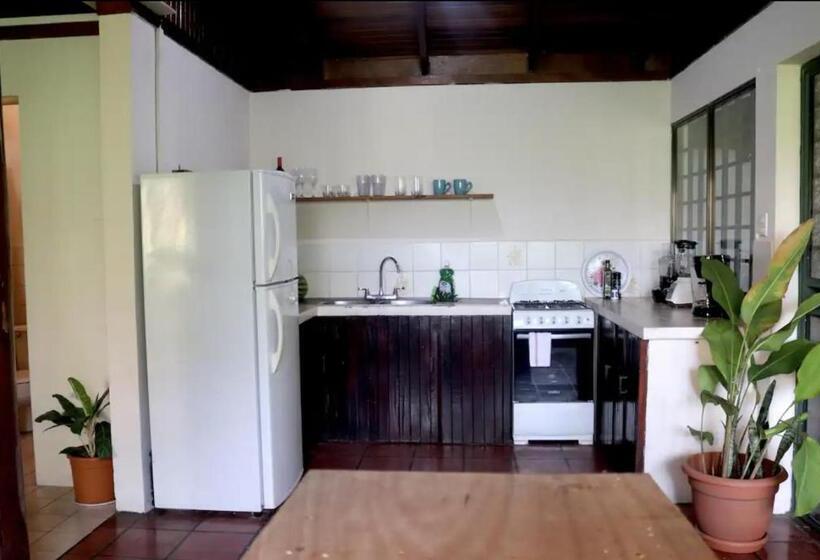 تختخواب و صبحانه Mizaru   Seaview Central Manuel Antonio
