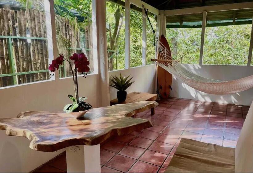 تختخواب و صبحانه Mizaru   Seaview Central Manuel Antonio