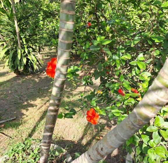 پانسیون Pps.guest House
