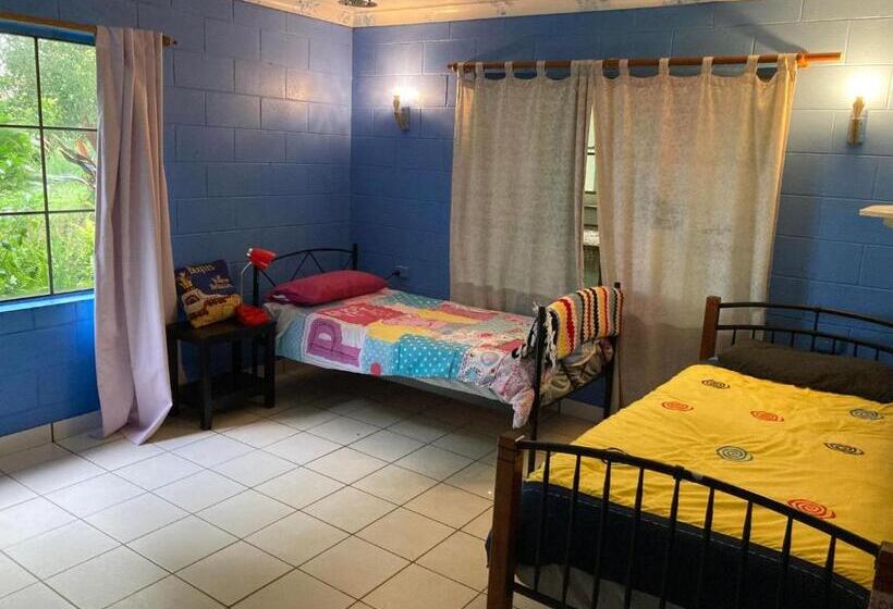 펜션 Tarzali Boho Gardens Guest House