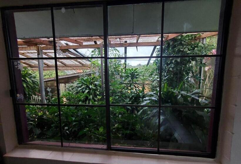 펜션 Tarzali Boho Gardens Guest House