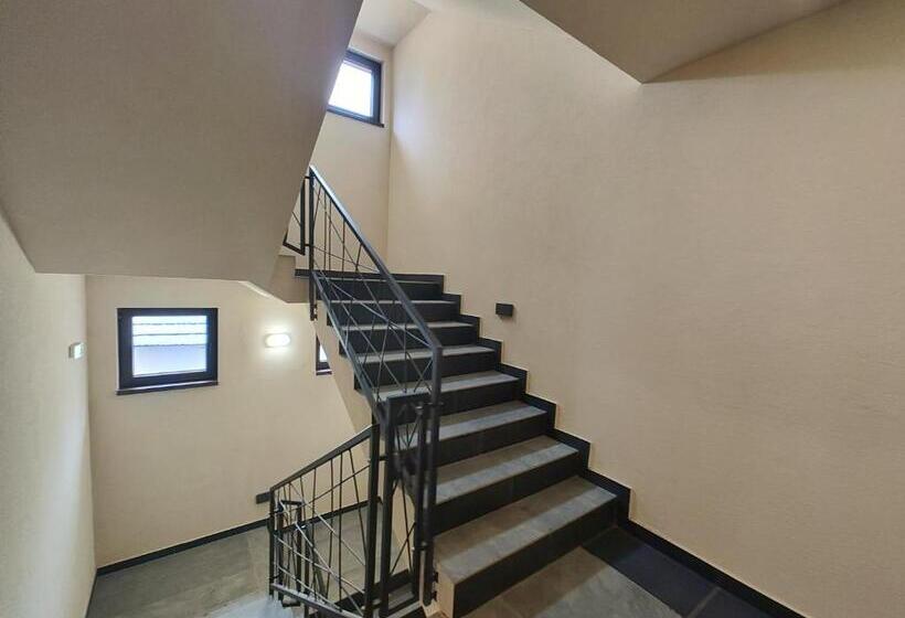 Velika Recepcija Cc Mtv