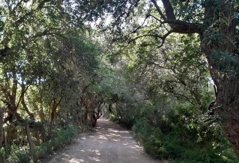 فندق صغير Anicca Posada