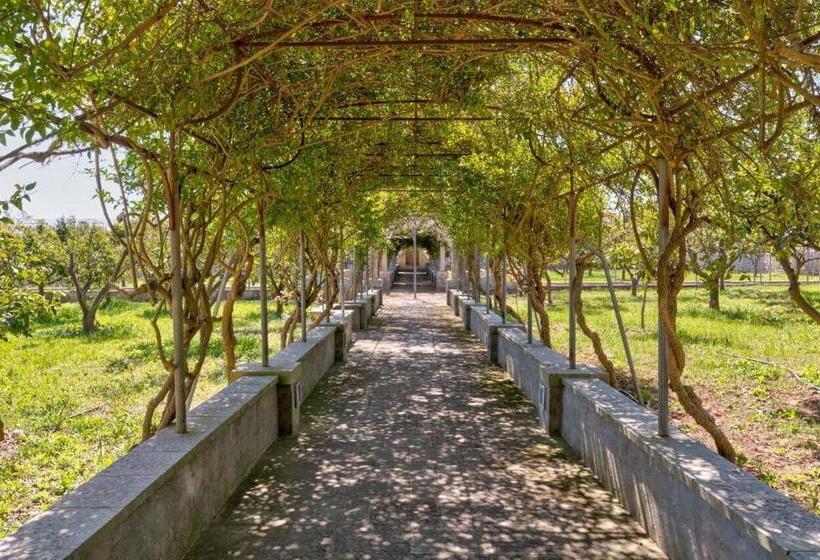 住宿加早餐  Masseria Abbracciavento   Le Camere