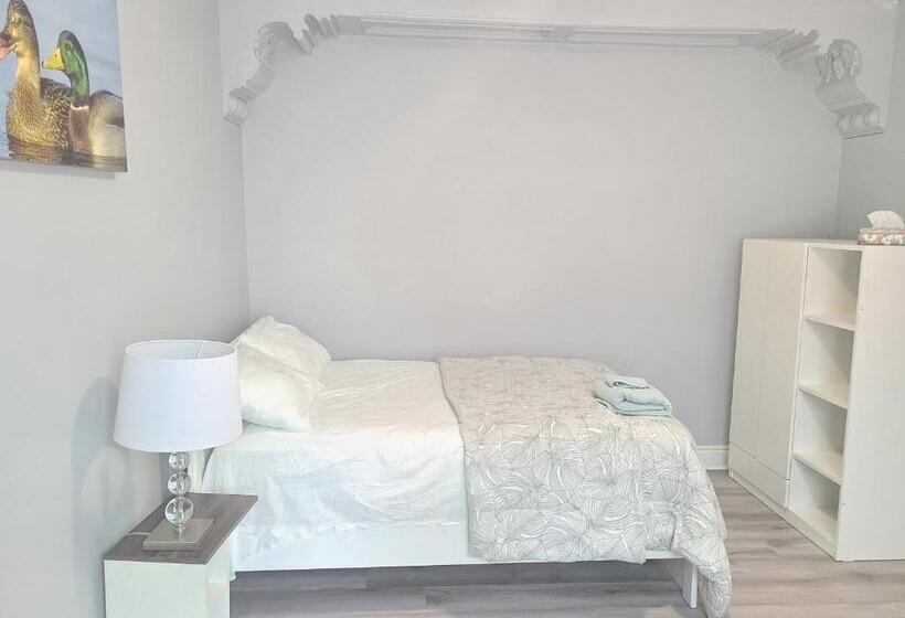 ベッドアンドブレックファースト Downtown Ottawa Spacious Room Accommodation