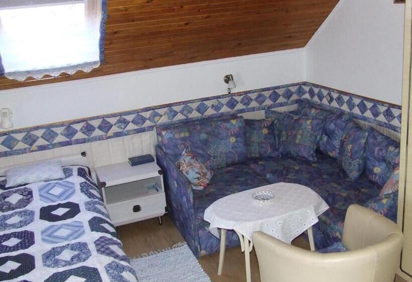 Pensjonat Czanek Apartman