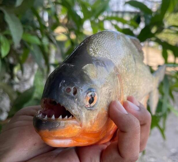 پانسیون Metare Eco Hostal Amazonas