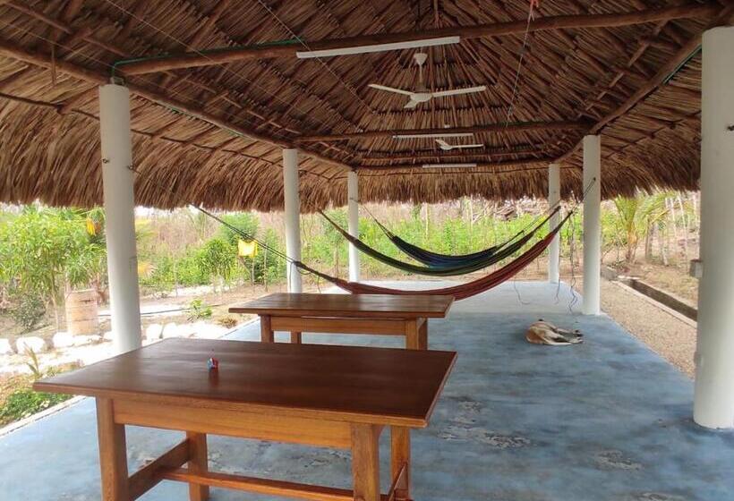 پانسیون Olamar Hostal