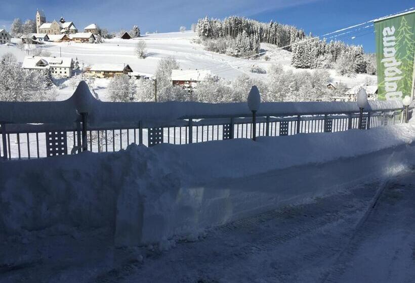 بنسيون Vogelbacher Hof   Dachsberg Im Südschwarzwald