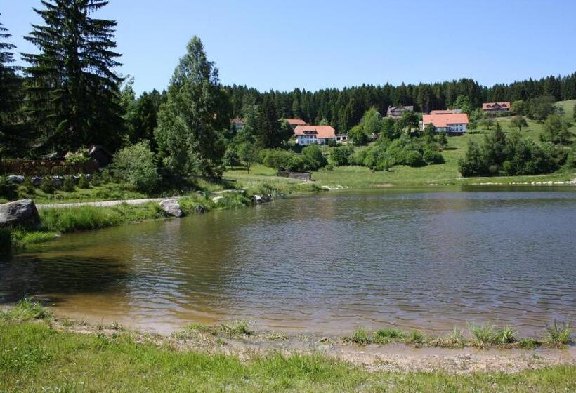 بنسيون Vogelbacher Hof   Dachsberg Im Südschwarzwald