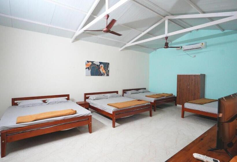 渡假胜地  Gandhada Goodu Retreat
