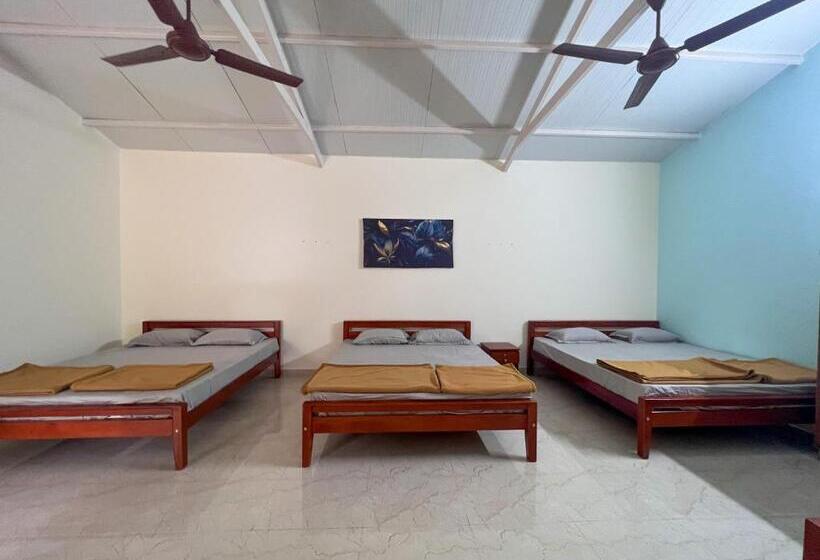 渡假胜地  Gandhada Goodu Retreat