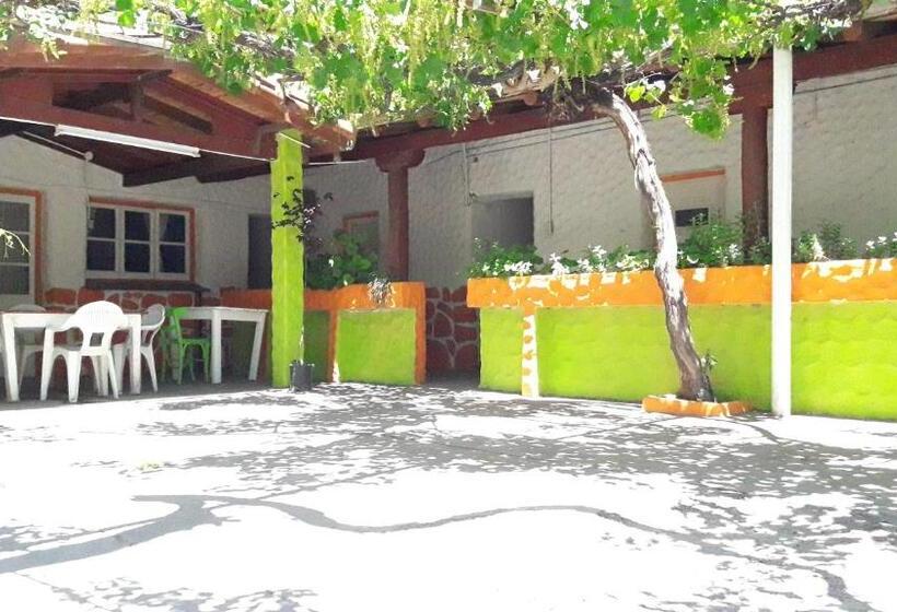 هاستل Hospedaje Don Alberto