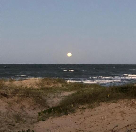 هاستل Hostal Del Cabo