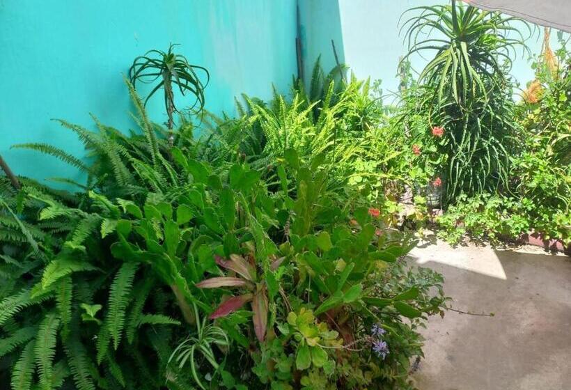 هاستل Palmeras Del Tuyu