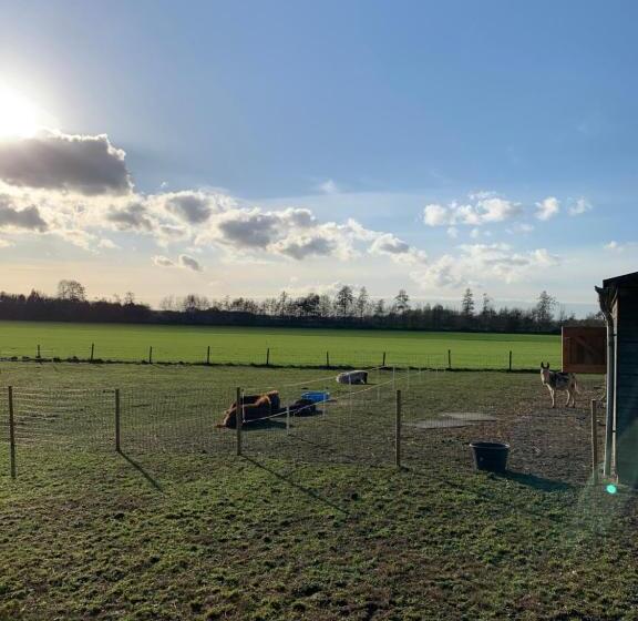 צימר Hoeve Zandbelt