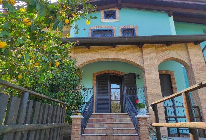 Caledonia B&b