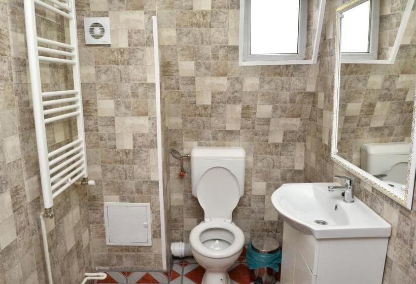 هاستل Casa Simescu I