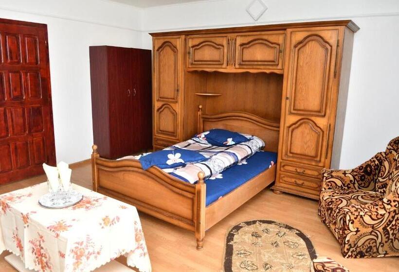هاستل Casa Simescu I