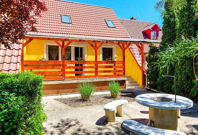 פנסיון Bor Villa Vendégház