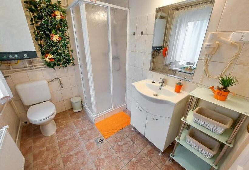 פנסיון Bor Villa Vendégház