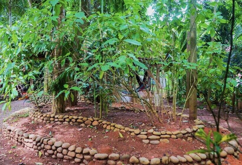 بنسيون Hospedaje El Bosquecito