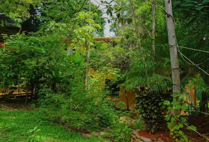 بنسيون Hospedaje El Bosquecito