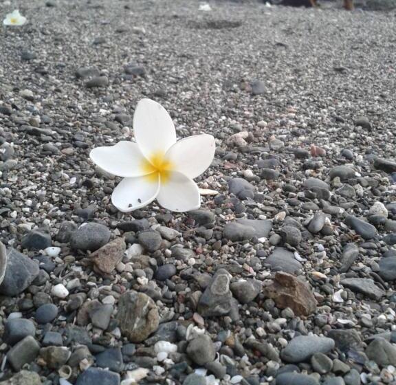 بنسيون Oceanfront Gem At La Joya De Lagarto