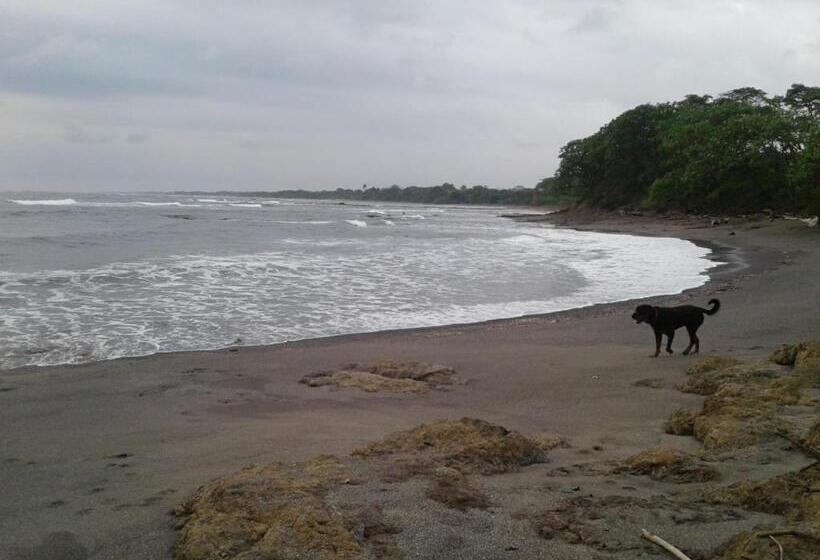 بنسيون Oceanfront Gem At La Joya De Lagarto
