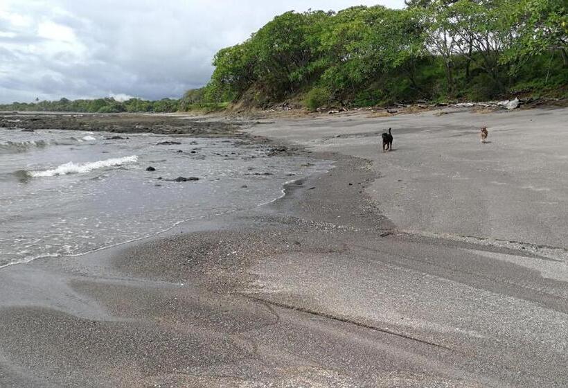 بنسيون Oceanfront Gem At La Joya De Lagarto