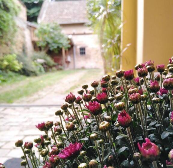 پانسیون šomin Lagum Vila