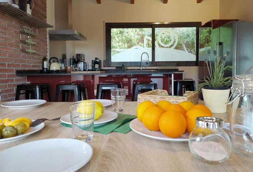 펜션 Only Women Guest House   Villa De La Comunidad Internacional De La Mujer