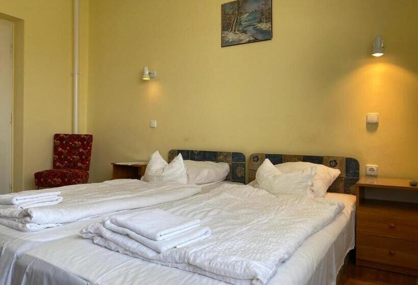 ペンション Patakparti Vendégház