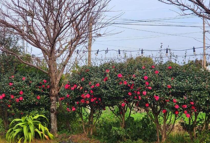 פנסיון There Bengdi
