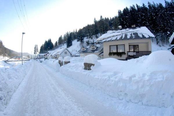 Pension Krupka 443   Ski Herlikovice A Bubákov