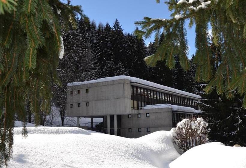 Res. Amba Appartamenti Solandra