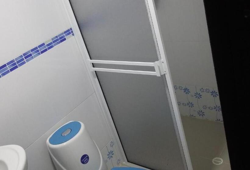 هاستل Bull Shark