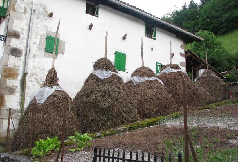 Albergue Olasenea Aterpea