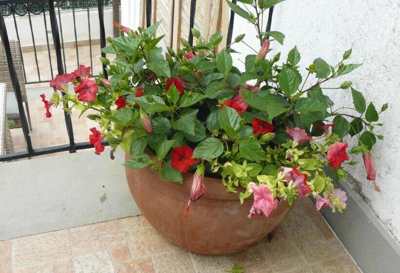 تختخواب و صبحانه Marywilliam
