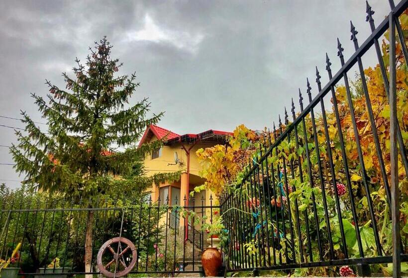 تختخواب و صبحانه Pensiunea Portas Resort