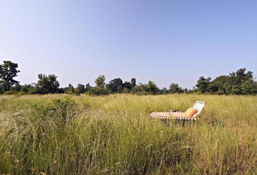 فندق Samode Safari Lodge