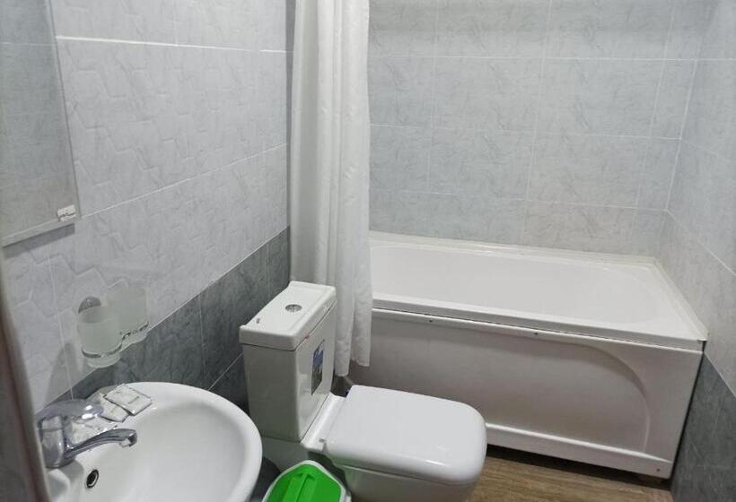 مبيت وإفطار Al Amir