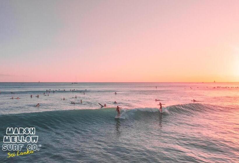 مبيت وإفطار Marshmellow Beach Rooms   Sri Lanka
