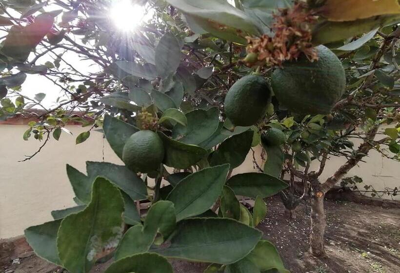 هتل Karibu Hostel Pub