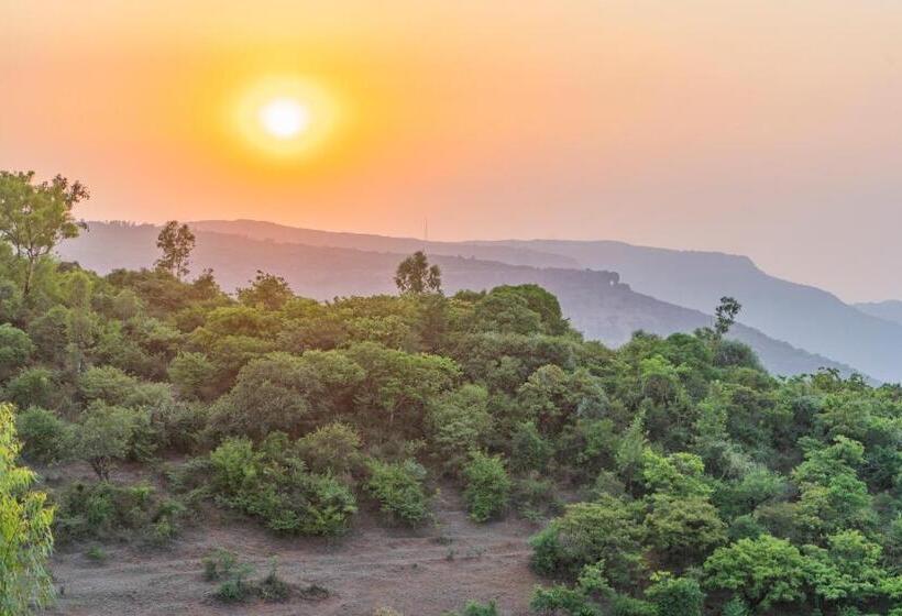 בית מלון כפרי The Mountain Mist