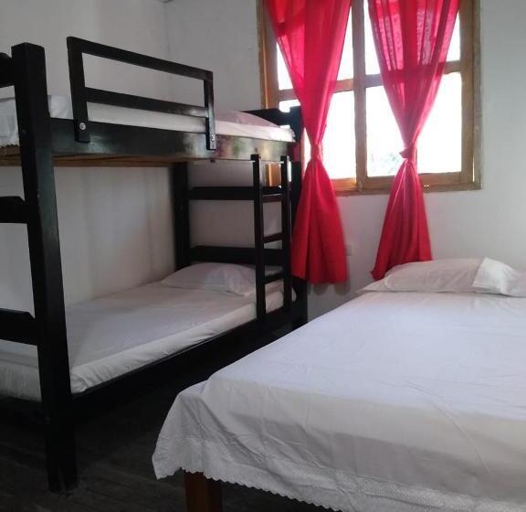 پانسیون Paula C